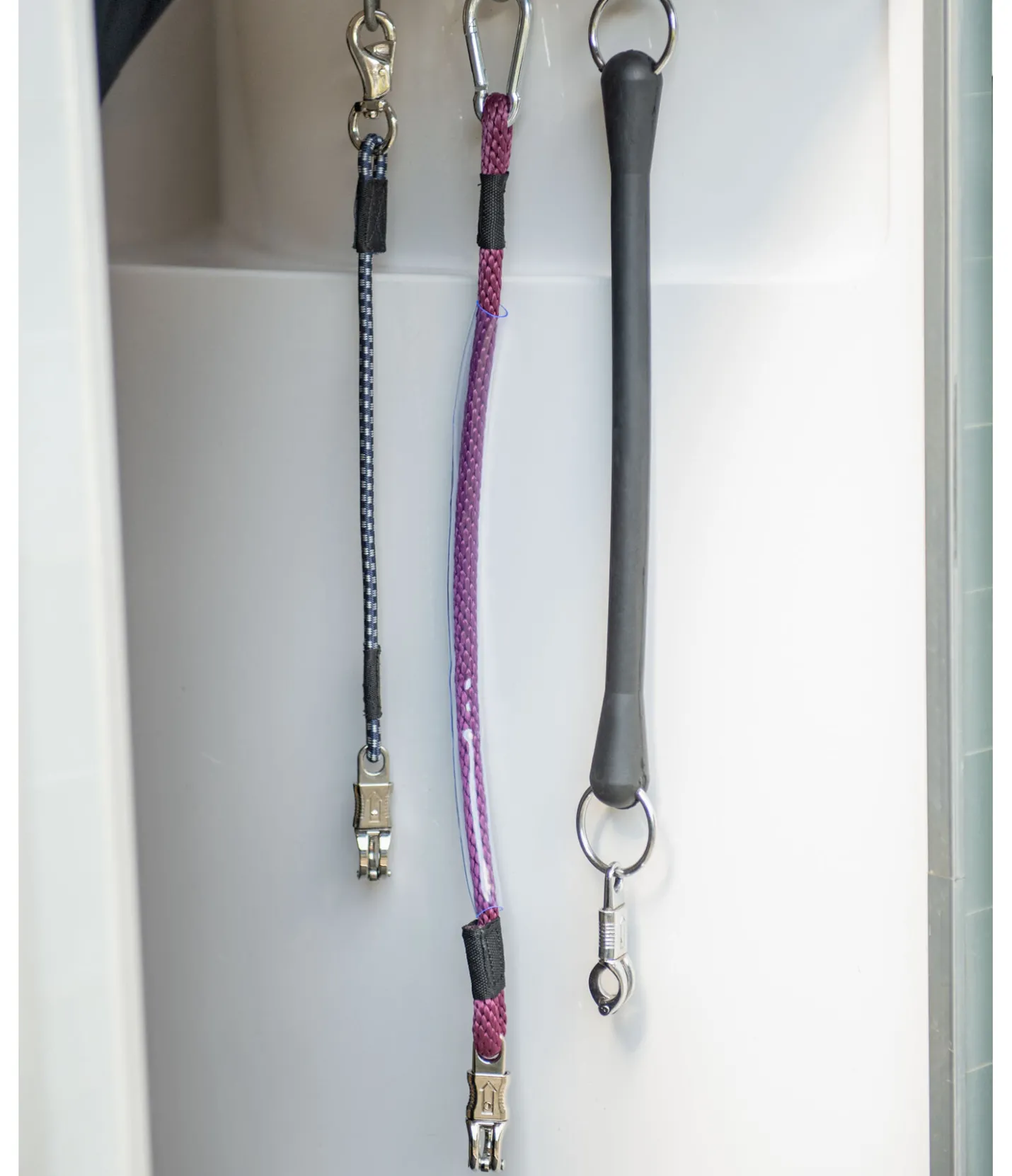 SHOWMASTER Longe pour van aubergine Hot