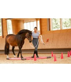 SHOWMASTER Lot de cônes pink Best