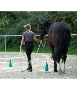 SHOWMASTER Lot de cônes turquoise Discount