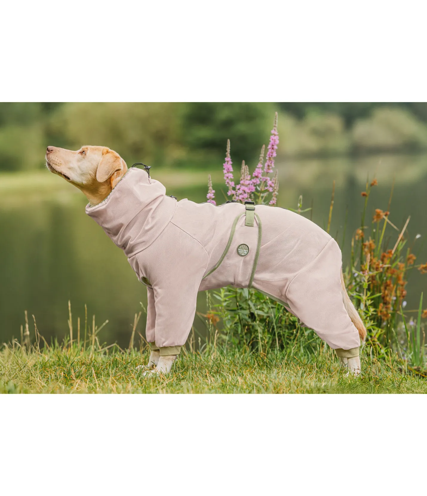 sugar dog Manteau anti-eczéma pour chien Tropen milkshake Hot