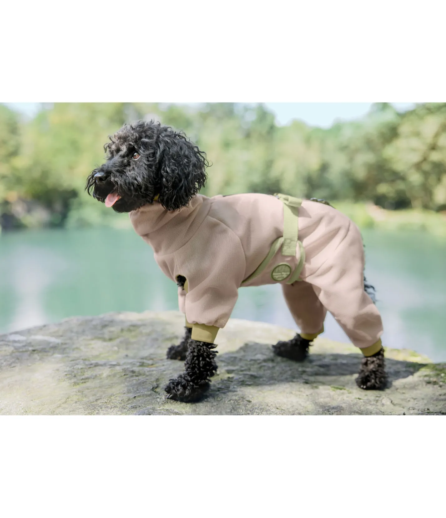 sugar dog Manteau anti-eczéma pour chien Tropen milkshake Hot