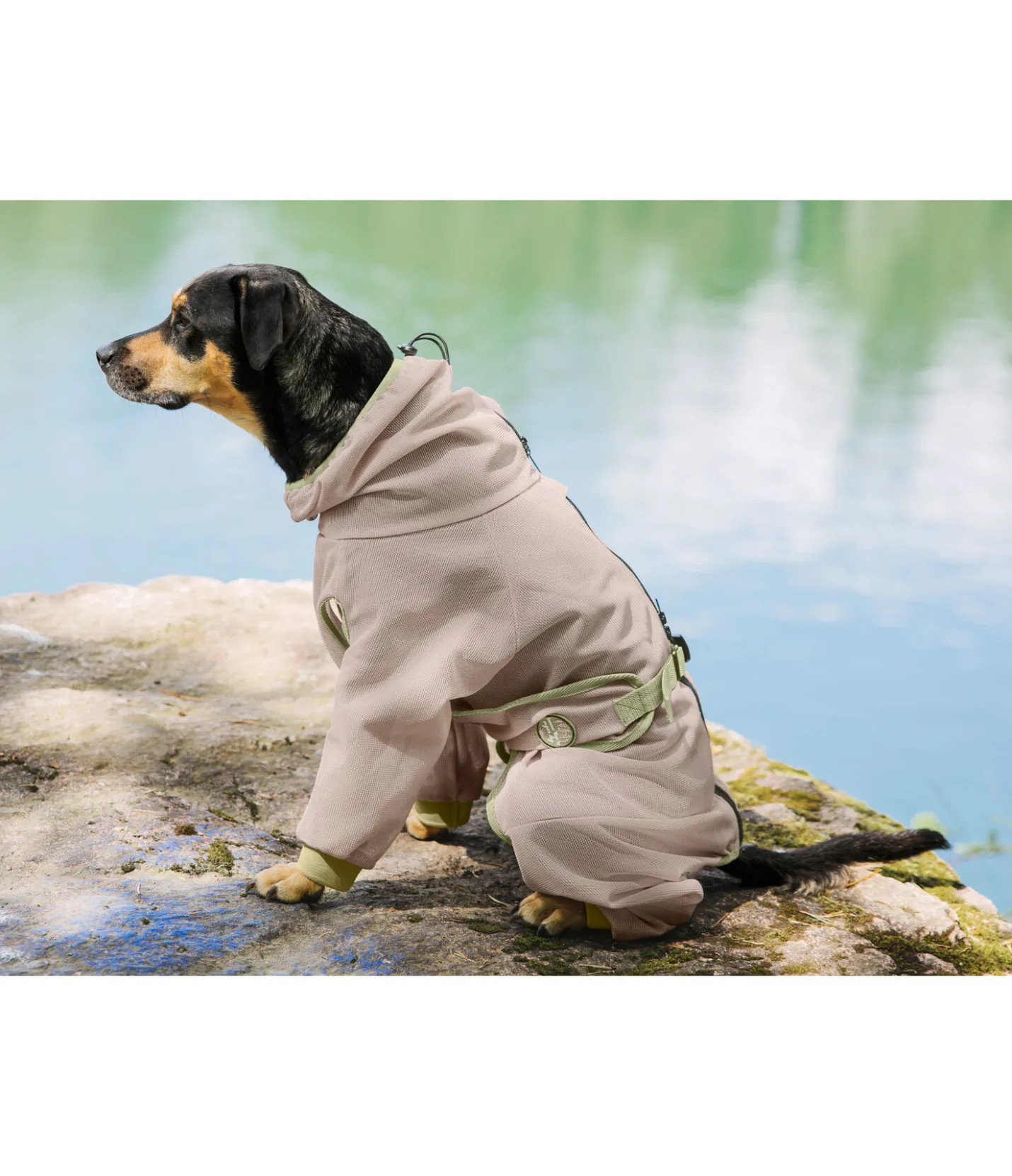 sugar dog Manteau anti-eczéma pour chien Tropen milkshake Hot