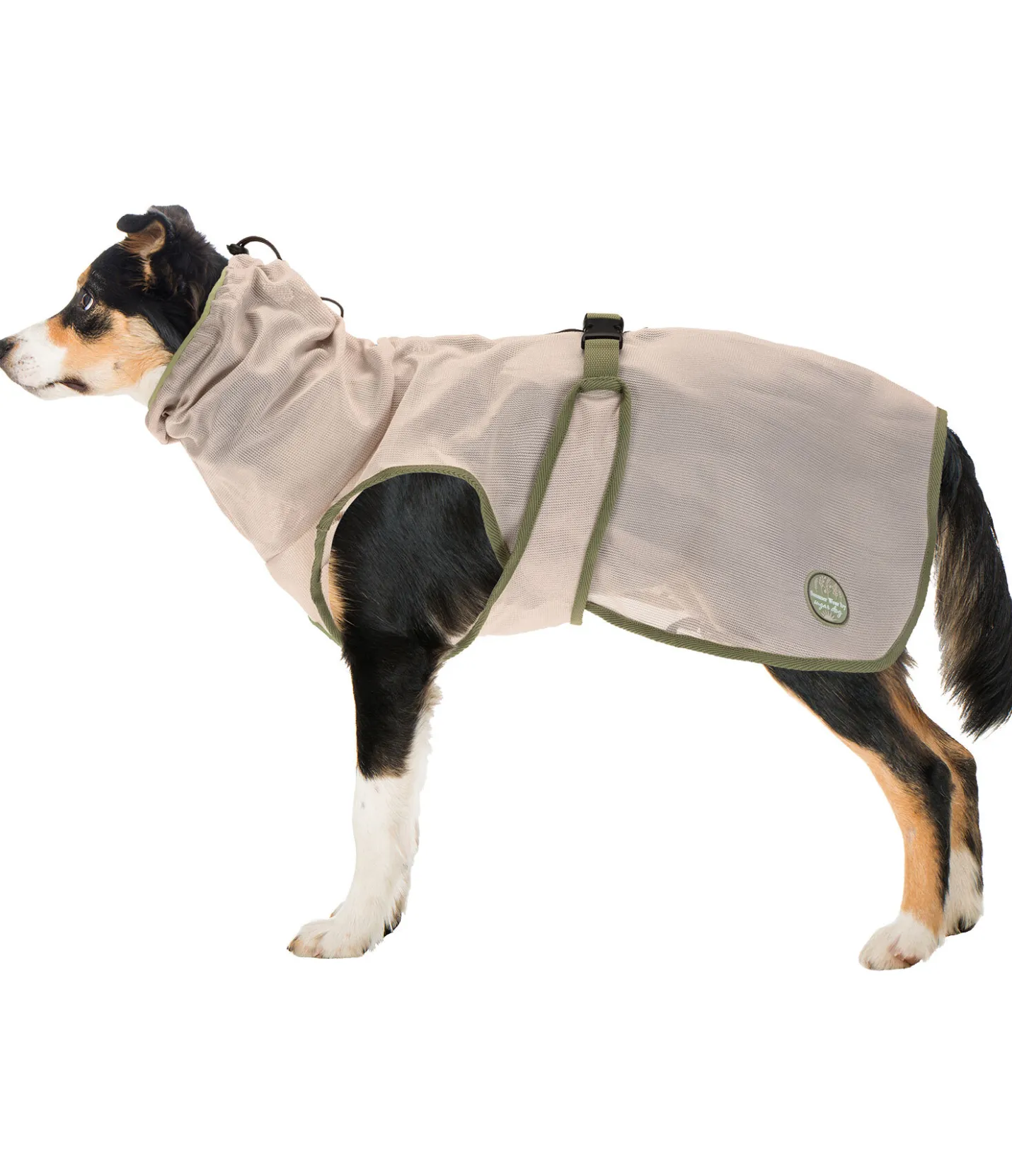 sugar dog Manteau anti-mouches pour chien Taiga milkshake Outlet