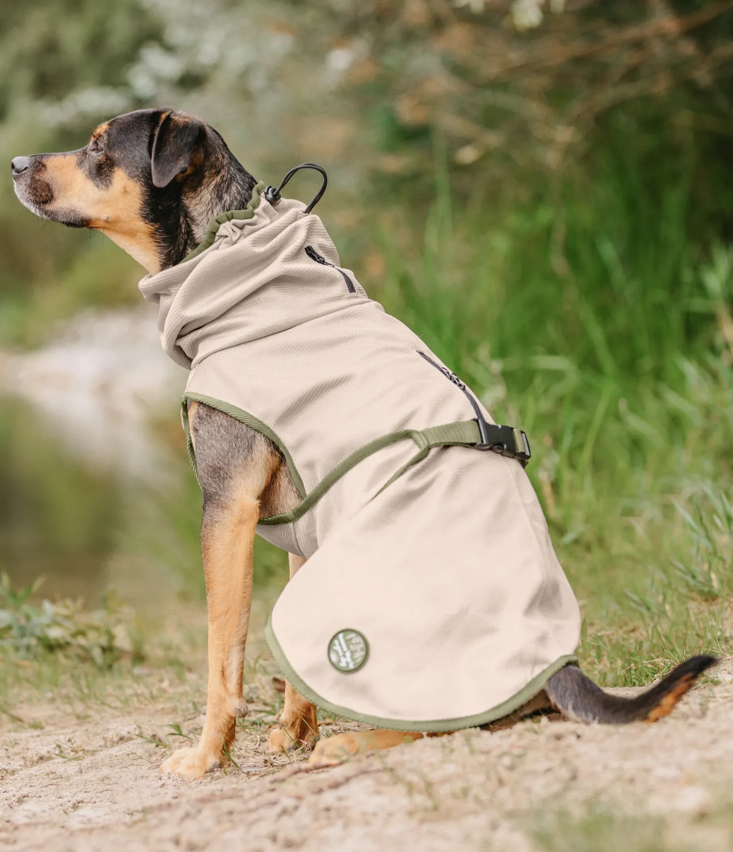 sugar dog Manteau anti-mouches pour chien Taiga milkshake Outlet