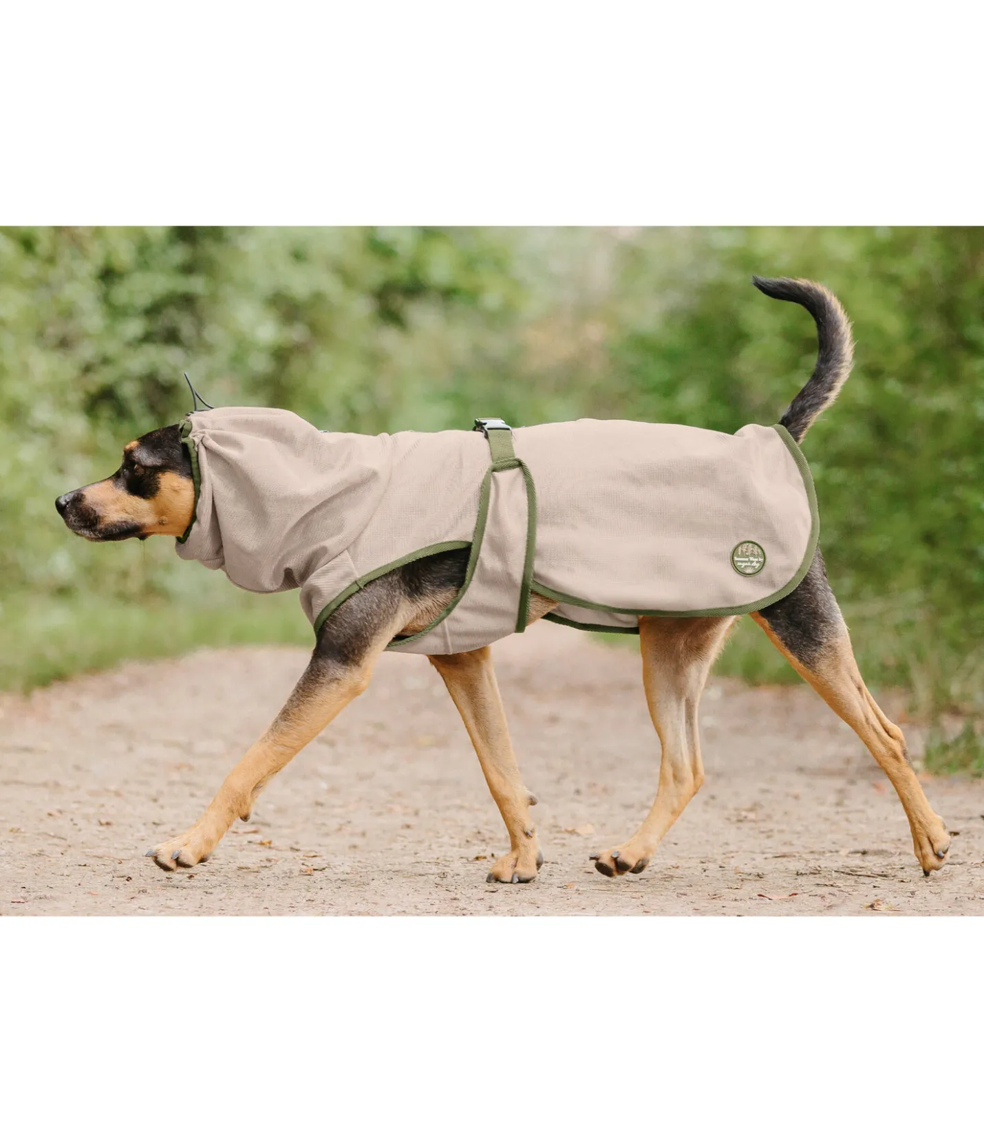 sugar dog Manteau anti-mouches pour chien Taiga milkshake Outlet
