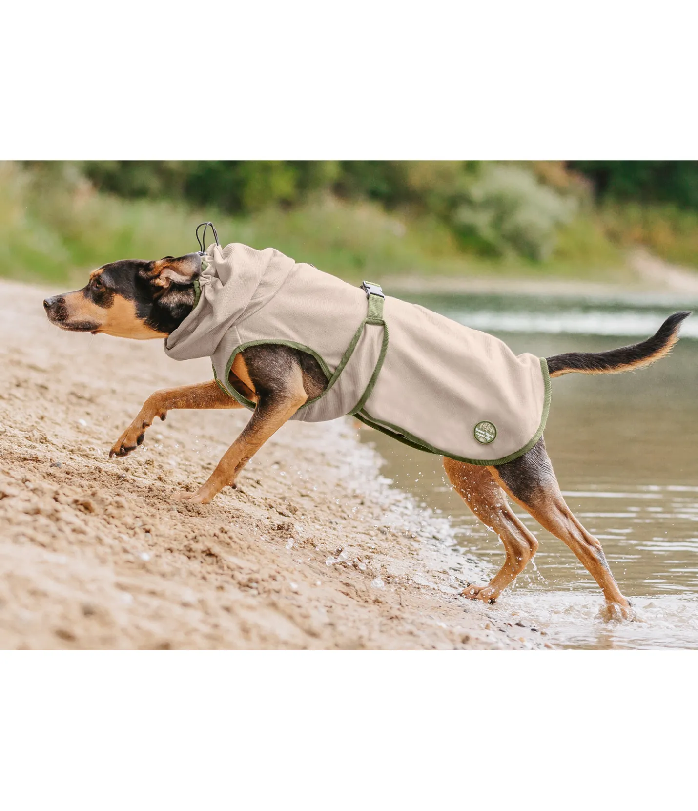 sugar dog Manteau anti-mouches pour chien Taiga milkshake Outlet