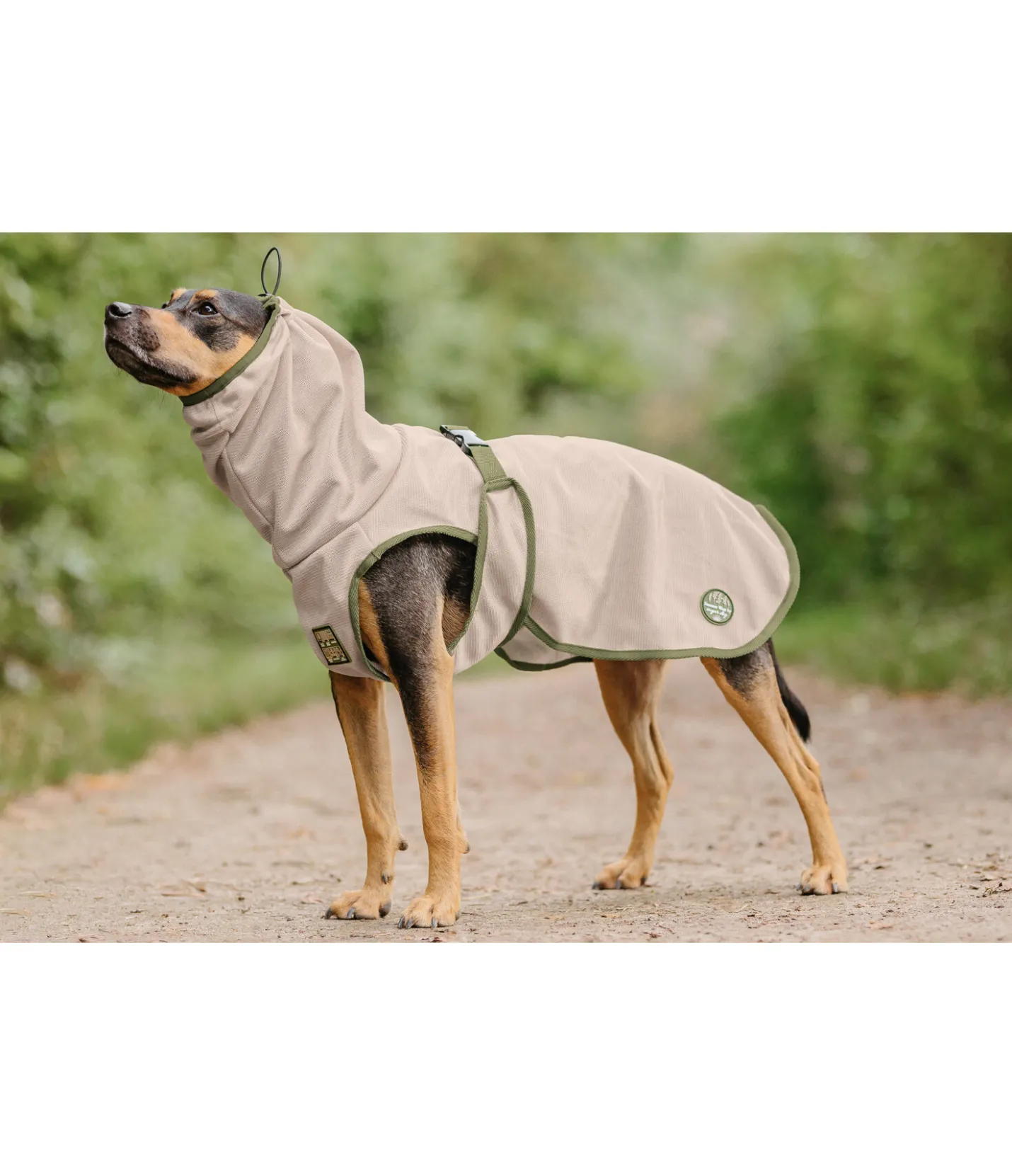 sugar dog Manteau anti-mouches pour chien Taiga milkshake Outlet