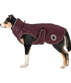 sugar dog Manteau avec doublure en polaire Teddy pour chien Archie, 160 g cerise