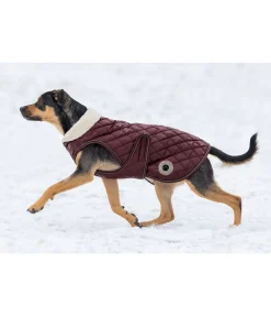 sugar dog Manteau avec doublure en polaire Teddy pour chien Archie, 160 g cerise