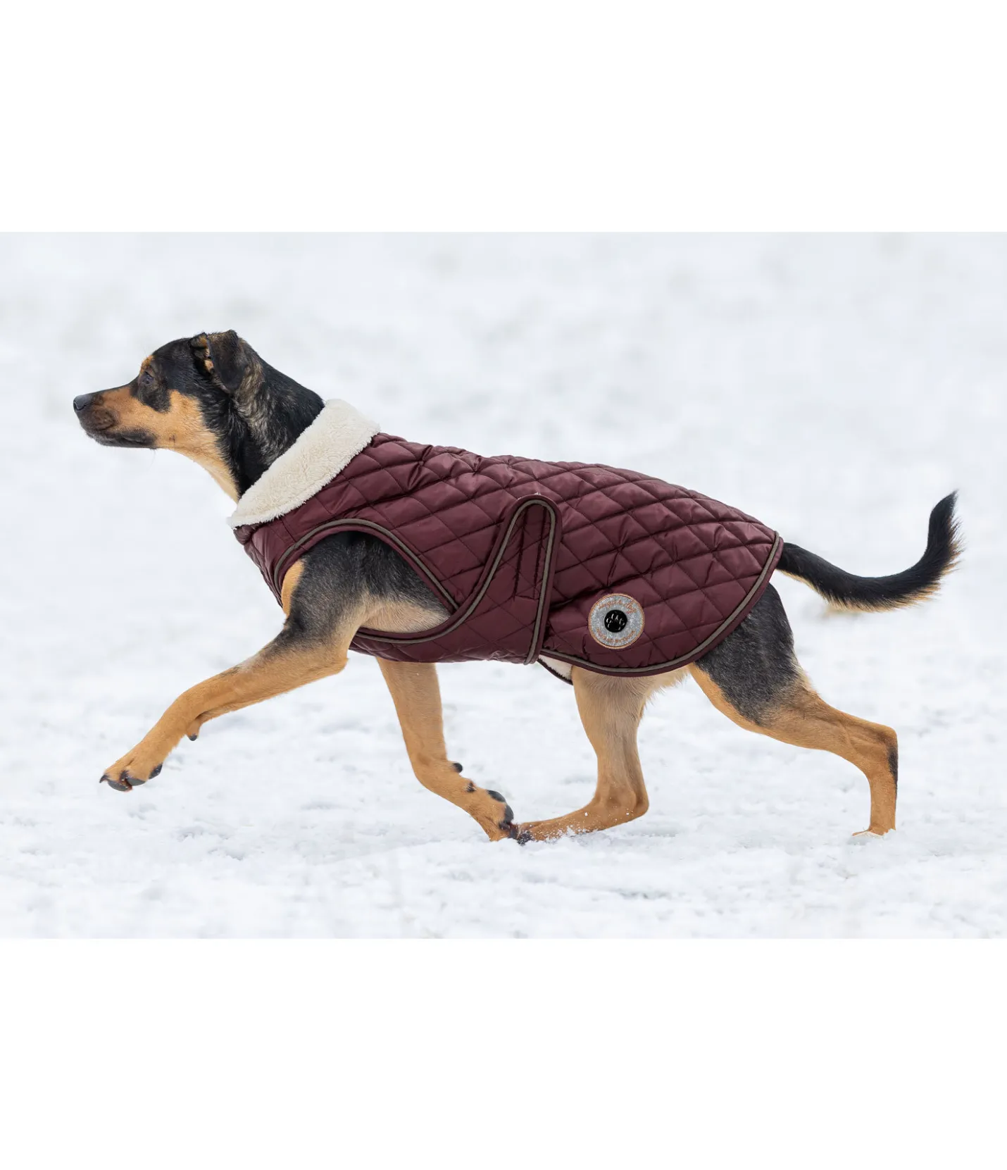 sugar dog Manteau avec doublure en polaire Teddy pour chien Archie, 160 g cerise