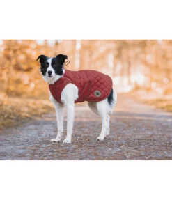 sugar dog Manteau avec doublure en polaire Teddy pour chien Archie, 160 g pomme tatin Online