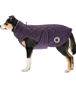 sugar dog Manteau avec doublure en polaire Teddy pour chien Archie, 160 g violet foncé Best