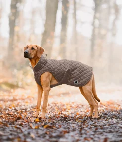 sugar dog Manteau avec doublure en polaire Teddy pour chien Archie, 160 g cannelle New