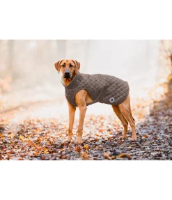 sugar dog Manteau avec doublure en polaire Teddy pour chien Archie, 160 g cannelle New
