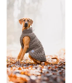 sugar dog Manteau avec doublure en polaire Teddy pour chien Archie, 160 g cannelle New
