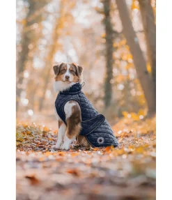 sugar dog Manteau avec doublure en polaire Teddy pour chien Archie, 160 g navy Hot