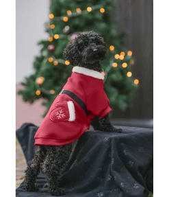 sugar dog Manteau de Noël en polaire Santa's Dream rouge New