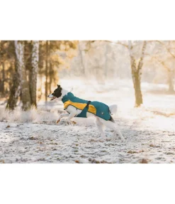 sugar dog Manteau de pluie léger pour chien Alma, 0 g vert tropical New