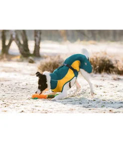 sugar dog Manteau de pluie léger pour chien Alma, 0 g vert tropical New