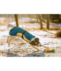 sugar dog Manteau de pluie léger pour chien Alma, 0 g vert tropical New
