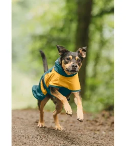 sugar dog Manteau de pluie léger pour chien Alma, 0 g vert tropical New