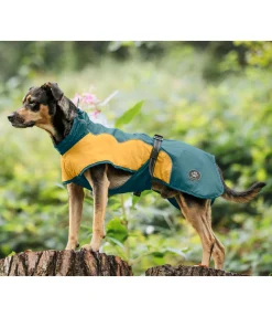 sugar dog Manteau de pluie léger pour chien Alma, 0 g vert tropical New