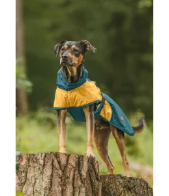 sugar dog Manteau de pluie léger pour chien Alma, 0 g vert tropical New