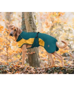 sugar dog Manteau de pluie léger pour chien Alma, 0 g vert tropical New