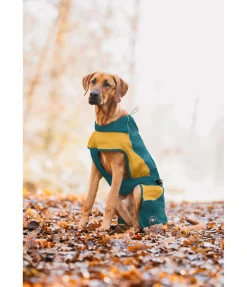 sugar dog Manteau de pluie léger pour chien Alma, 0 g vert tropical New