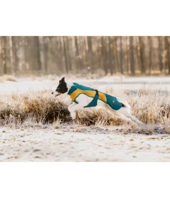 sugar dog Manteau de pluie léger pour chien Alma, 0 g vert tropical New