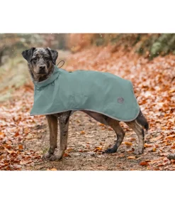sugar dog Manteau de pluie pour chien Thousand Islands, 0 g matcha foncé Clearance