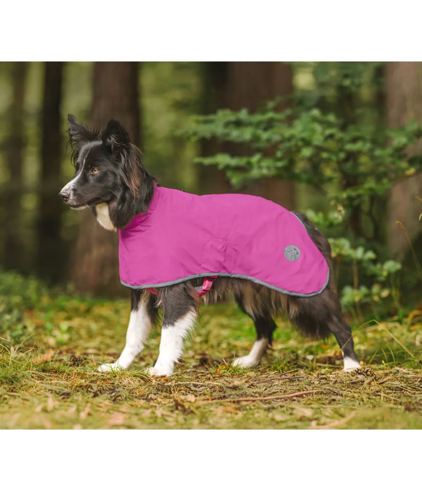 sugar dog Manteau de pluie pour chien Thousand Islands, 0 g rose-fuchsia Online