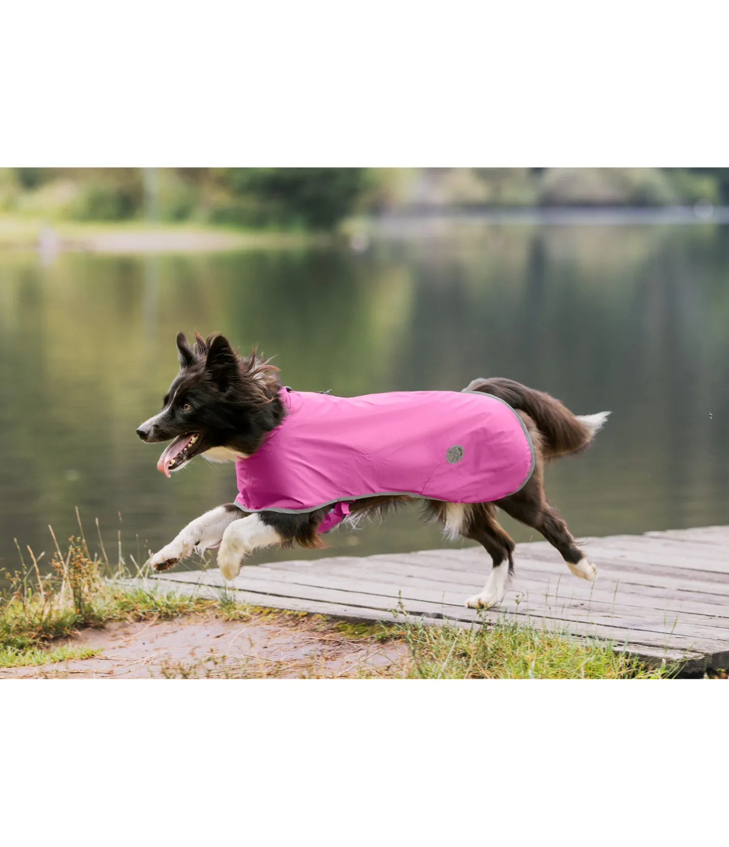 sugar dog Manteau de pluie pour chien Thousand Islands, 0 g rose-fuchsia Online