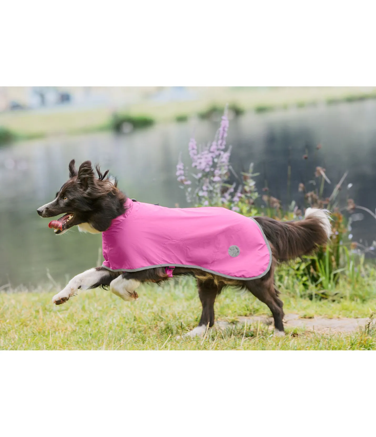 sugar dog Manteau de pluie pour chien Thousand Islands, 0 g rose-fuchsia Online