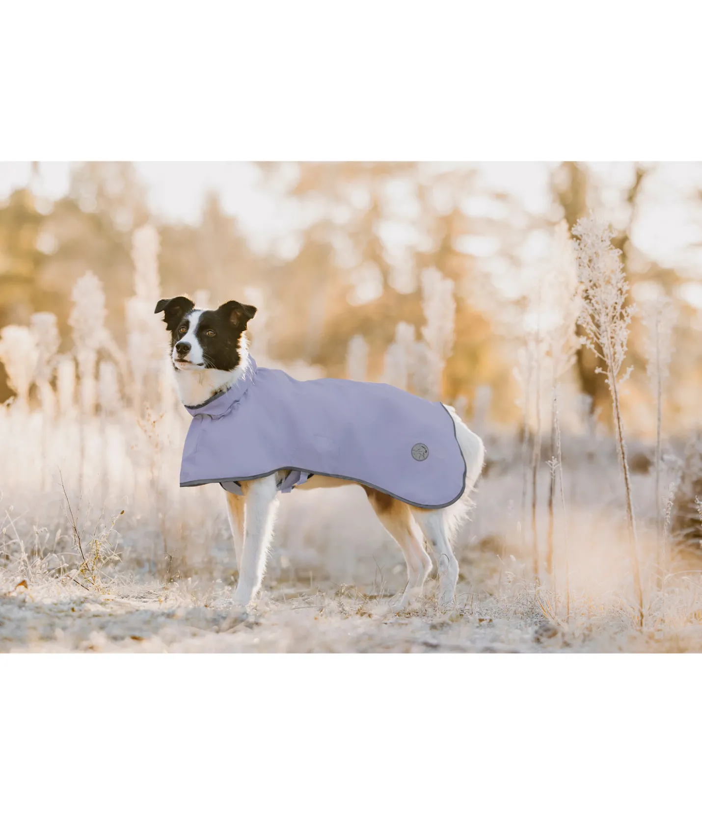 sugar dog Manteau de pluie pour chien Thousand Islands, 0 g lavande givré Discount
