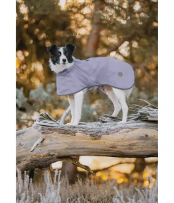 sugar dog Manteau de pluie pour chien Thousand Islands, 0 g lavande givré Discount