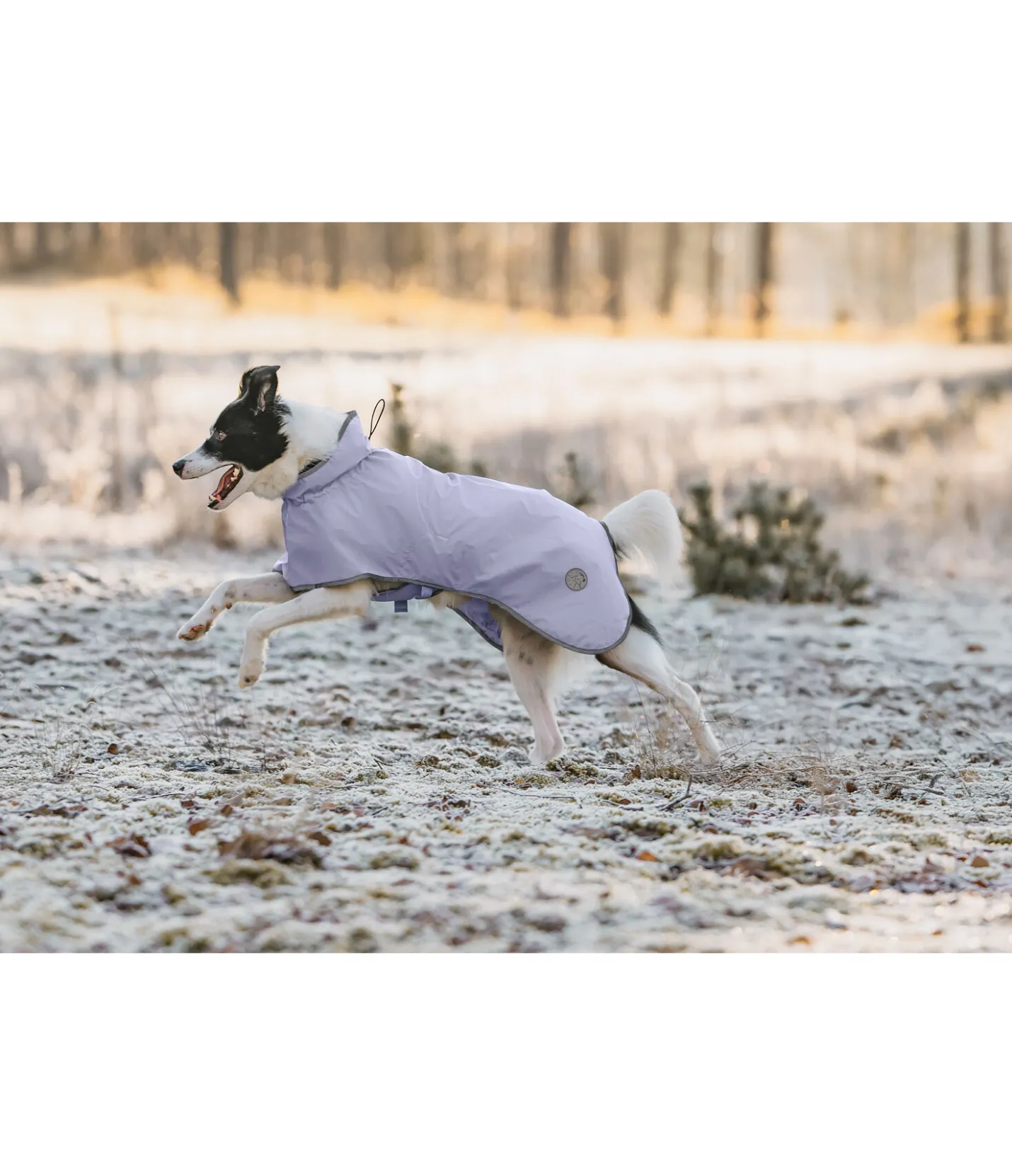 sugar dog Manteau de pluie pour chien Thousand Islands, 0 g lavande givré Discount