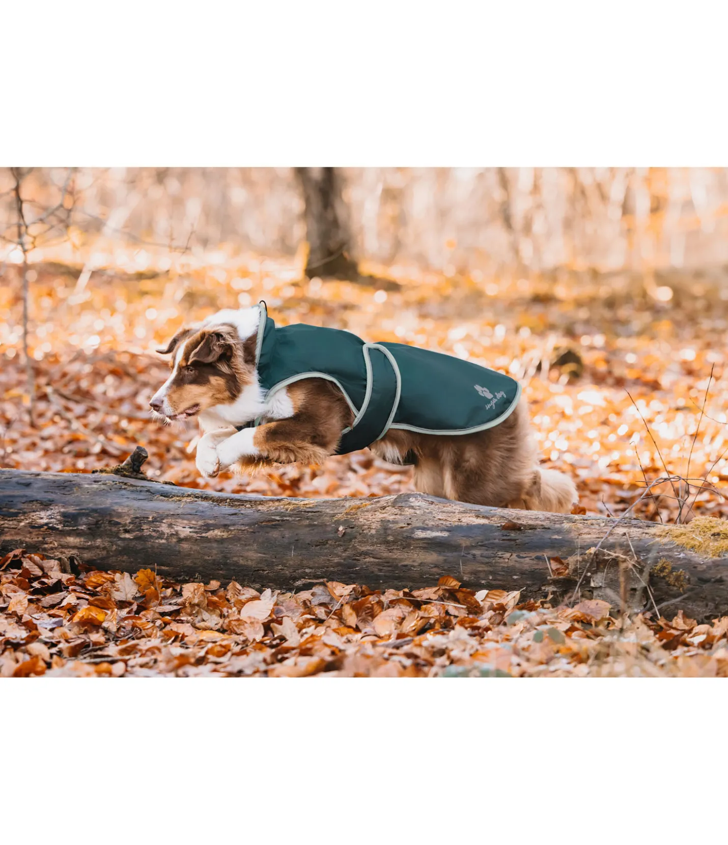 sugar dog Manteau de pluie pour chien Eldoro II avec doublure intérieure en polaire, 0g thé vert Outlet
