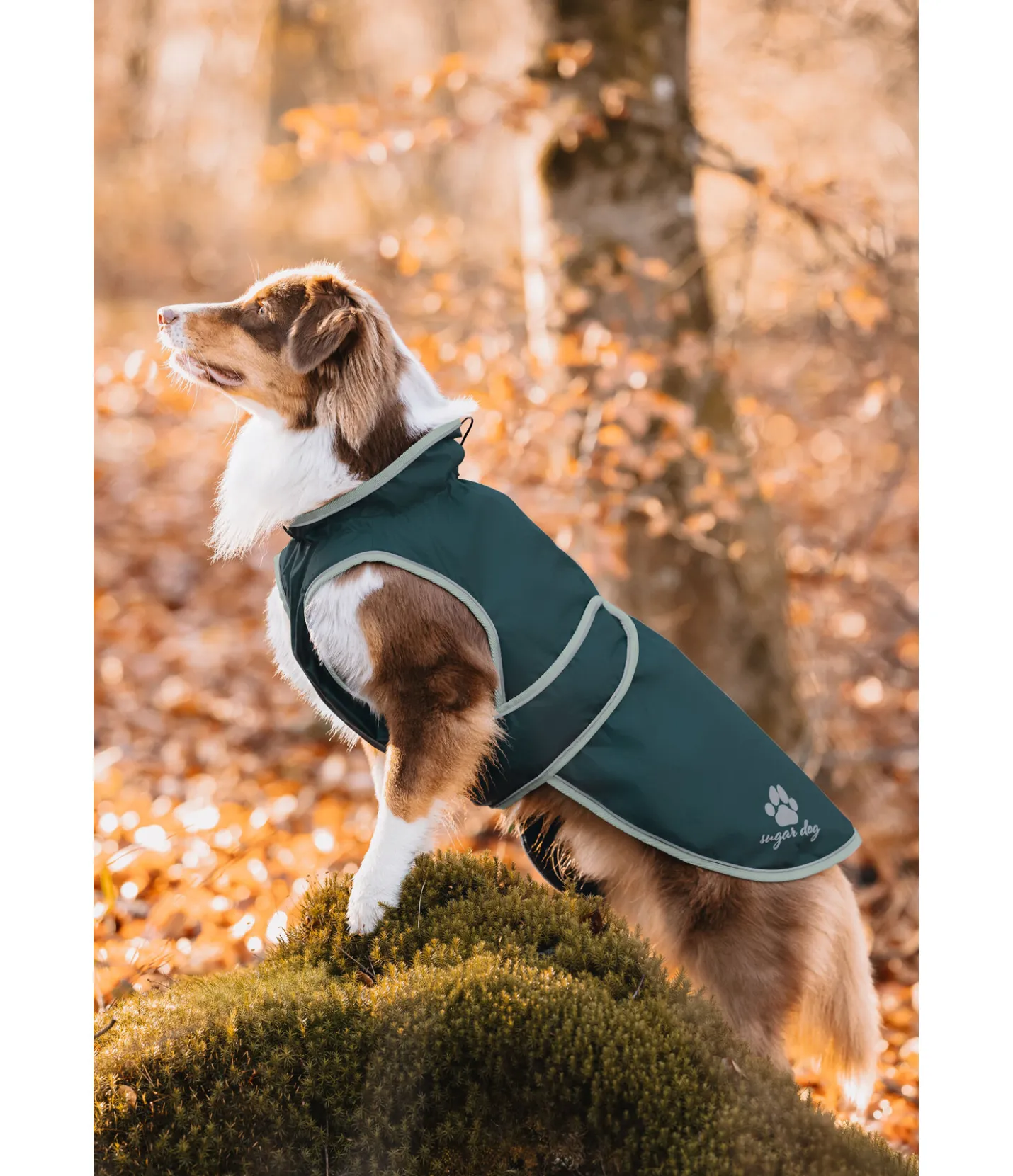 sugar dog Manteau de pluie pour chien Eldoro II avec doublure intérieure en polaire, 0g thé vert Outlet