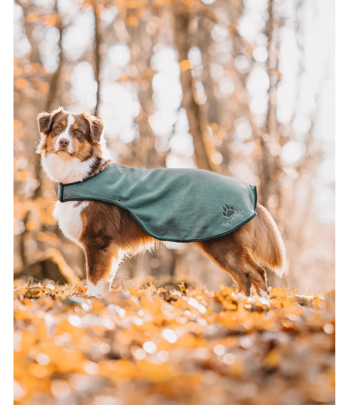 sugar dog Manteau de pluie pour chien Eldoro II avec doublure intérieure en polaire, 0g thé vert Outlet