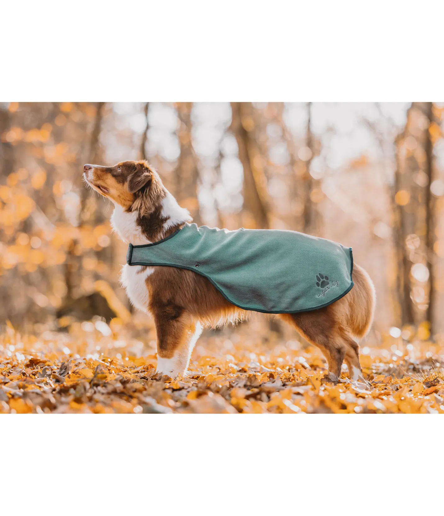 sugar dog Manteau de pluie pour chien Eldoro II avec doublure intérieure en polaire, 0g thé vert Outlet
