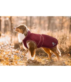 sugar dog Manteau de pluie pour chien Eldoro II avec doublure intérieure en polaire, 0g pomme tatin Clearance