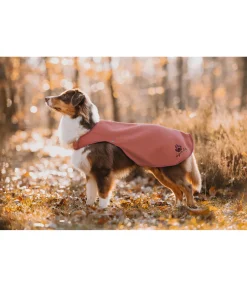 sugar dog Manteau de pluie pour chien Eldoro II avec doublure intérieure en polaire, 0g pomme tatin Clearance
