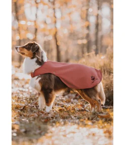 sugar dog Manteau de pluie pour chien Eldoro II avec doublure intérieure en polaire, 0g pomme tatin Clearance