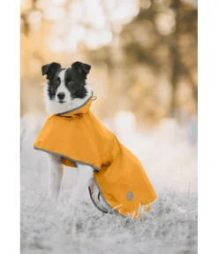 sugar dog Manteau de pluie pour chien Thousand Islands, 0 g melon jaune Outlet
