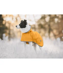 sugar dog Manteau de pluie pour chien Thousand Islands, 0 g melon jaune Outlet