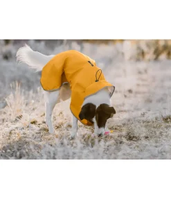 sugar dog Manteau de pluie pour chien Thousand Islands, 0 g melon jaune Outlet
