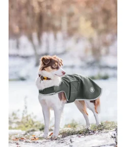 sugar dog Manteau de randonnée softshell pour chien Athlete, 0 g forêt Discount