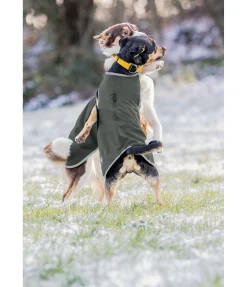 sugar dog Manteau de randonnée softshell pour chien Athlete, 0 g forêt Discount