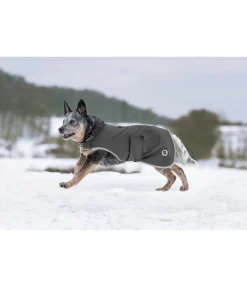 sugar dog Manteau de randonnée softshell pour chien Athlete, 0 g forêt Discount